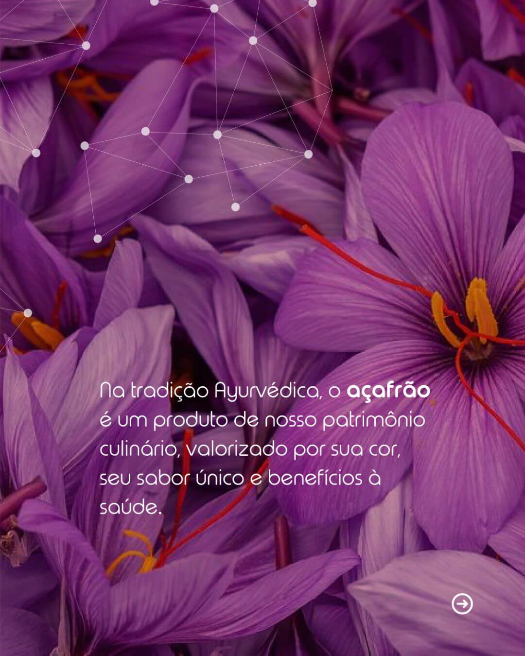 Bar Pyta - Awakening of Emotions